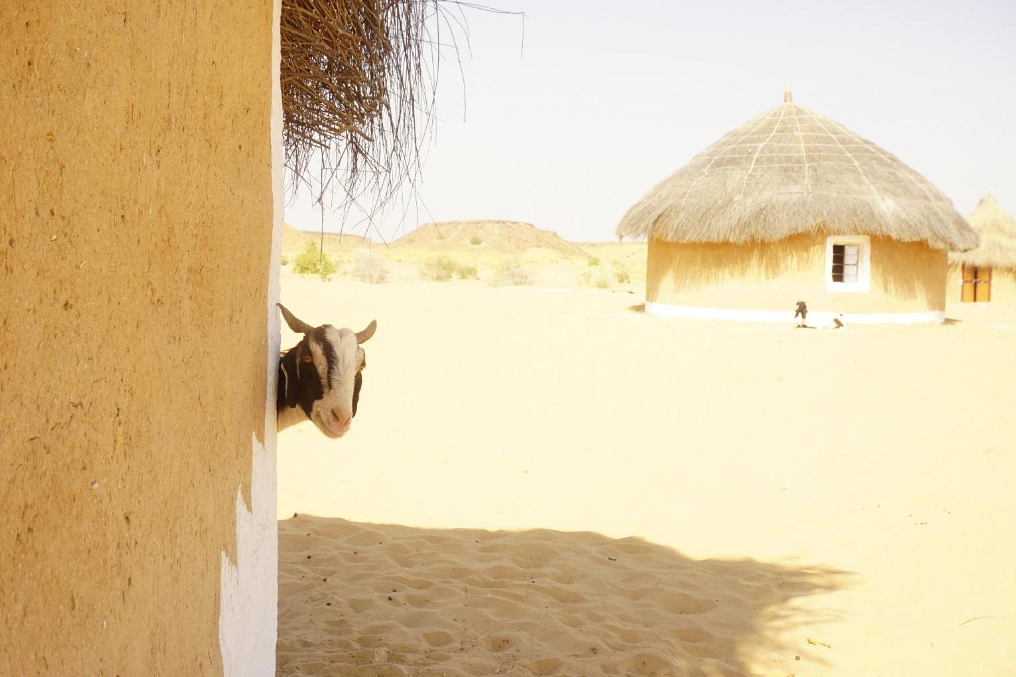 Mala Ki Dhani Jaisalmer Zewnętrze zdjęcie
